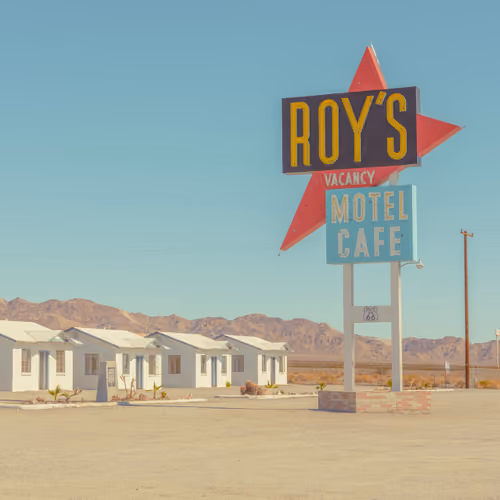 Desert Oddities #36