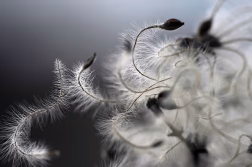 Item #13606181839721576894155883308236999132816604807813273145513526391248689037313 Media