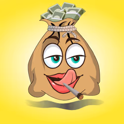 Money Bag #169