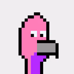 BitBird 906