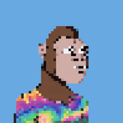 Punk'd Kong #9123