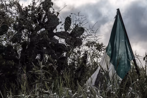 Item #70501470093949107928513177339554840005312415371627704568025328107562588962817 Media