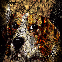 Just The Artwork
