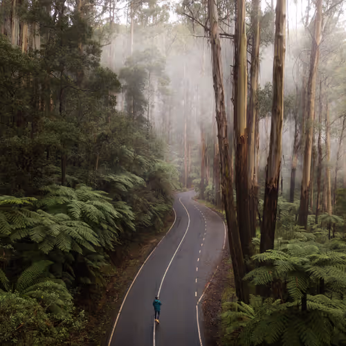 Low Cloud #2