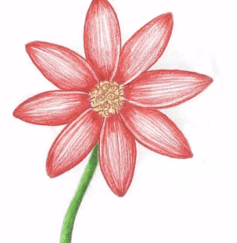 Untitled Collection #458301519