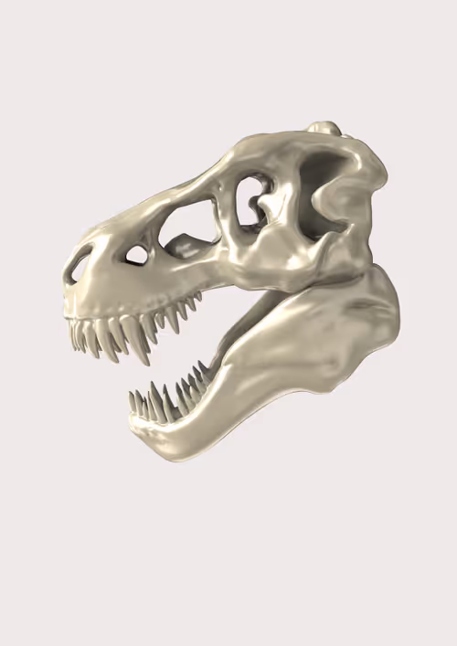 Item #18478699527767525353781602053590804202608849171634871284182521557515048583169 Media