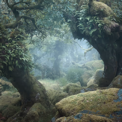Mysticalwoodland