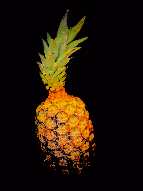 Item #71977679437914570587944804398027631852132377710496257291130818483745590345729 Media