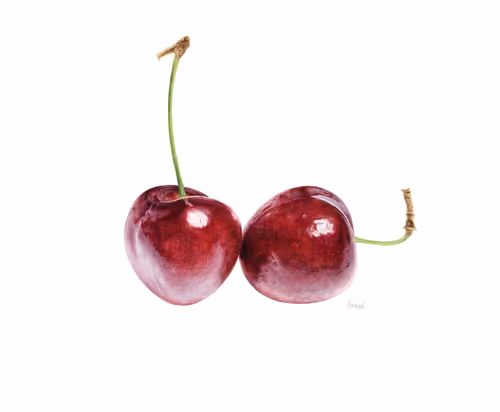 Item #113489034304621262780688231826605953110850630037048369512317058357974035070981 Media