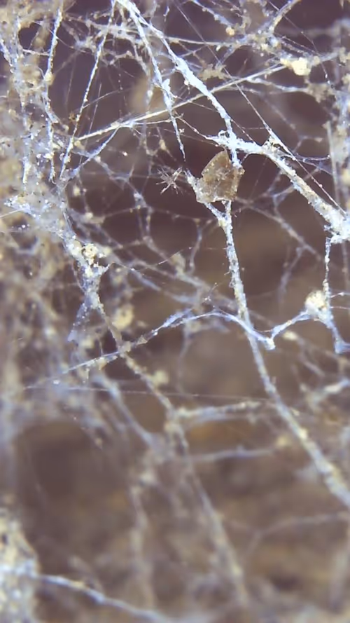 Item #26658692853047594662684063584859351739740990353533291936945253099887982018561 Media