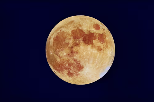 Item #52575804303161794449600573564715429190343404046060487203977302144504599412737 Media