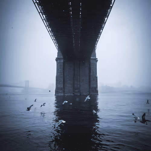 Snow Days In NYC - Airdrops