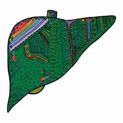 28824502245252267217549902857601847351510039266873569823091148322857109422081