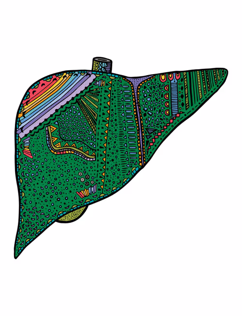 Item #28824502245252267217549902857601847351510039266873569823091148322857109422081 Media