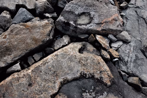 Item #68800123458035658143408460056219206378254568321398204671677928385203866173441 Media