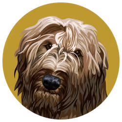 54766349128176429303044182404049584425310907481653304317570413981509867274241