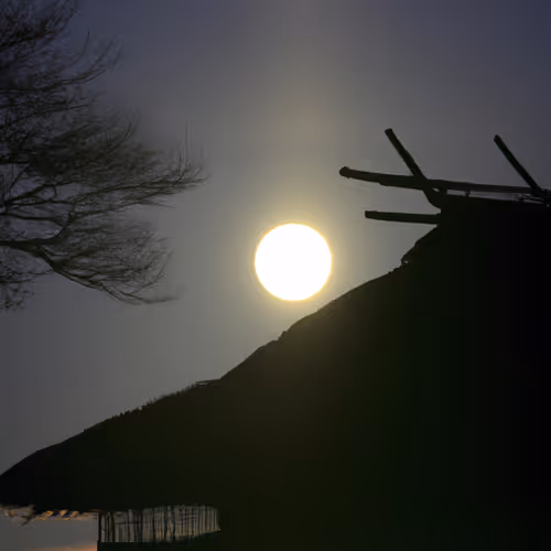 Item #71646257518770613568983710813551014237803002136866425209291834165932052185089 Media