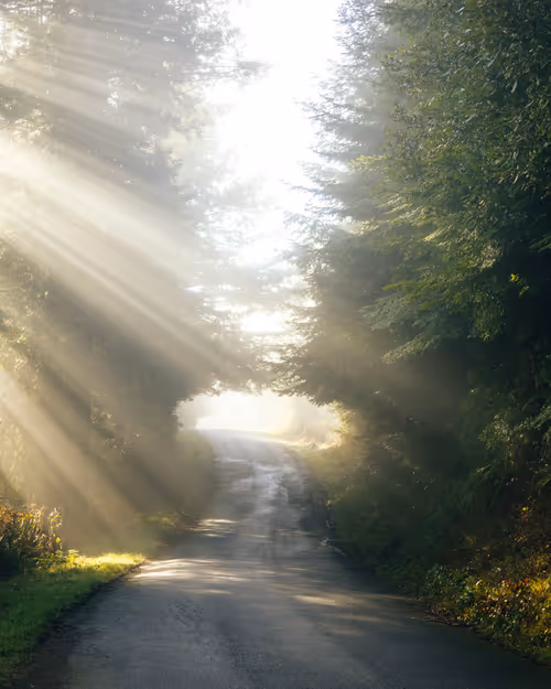 Item #99379921276153973634104125152908526548510783699959858376338453598593848705025 Media