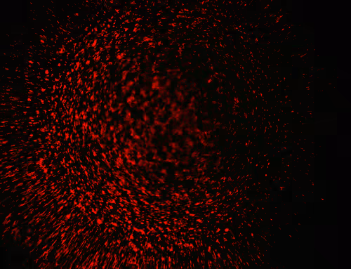 Item #71646257518770613568983710813551014237803002136866425209291834005403354529793 Media