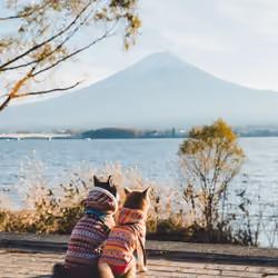 Dreams of Mt Fuji #10
