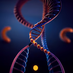 DNA #031