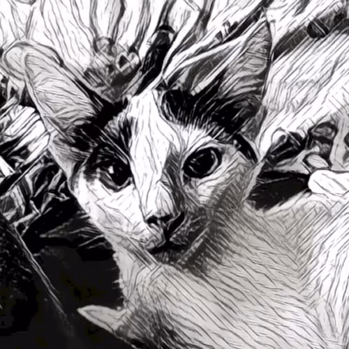 Item #30454089989565073990302991358961434373581414494529784626079565089710370979841 Media