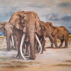 4288309145407295523431116215122397111529594114986911850026632791455225086052