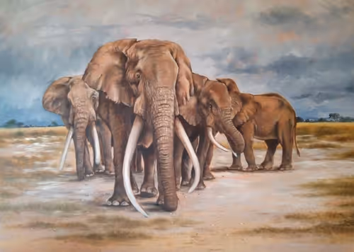 Item #4288309145407295523431116215122397111529594114986911850026632791455225086052 Media