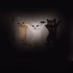 FUN CATS 