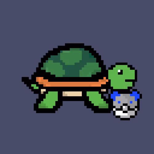 PixelNFTurtle Collection - old