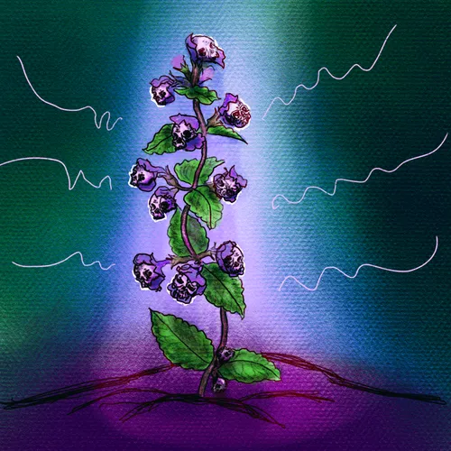 Item #93286448579747295008687894214958177990168199227657113304386886703304069349476 Media