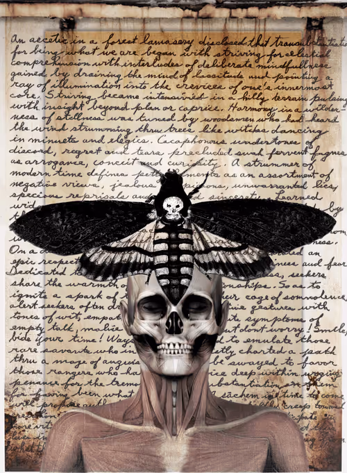 Item #8085254141654812684738761113738258081454055288701000052945293491868247523329 Media