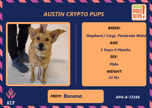 Item #17951378556605612276483806045649535824451571419947225201384628597513407954945 Media