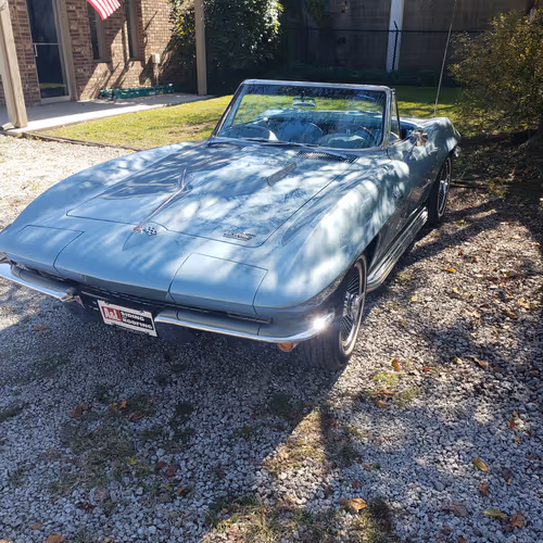 Untitled Collection #102513041