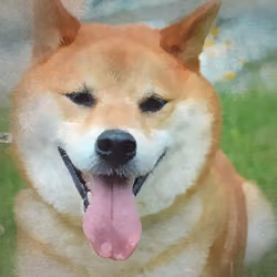 Which_NFT_Better # Faithful dog