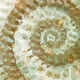 53055164503162631358642167902974379161201717332741647480717275919248909139969