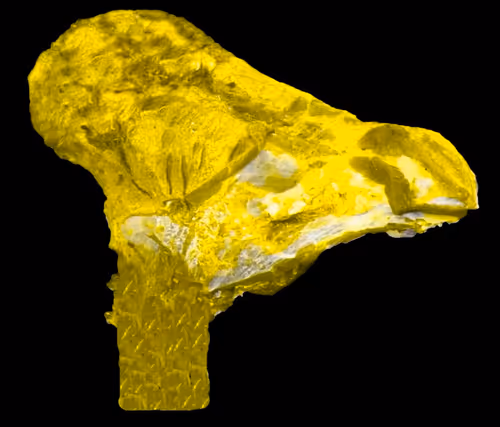 Item #18063966590187803564983313972252836895288362682890717819958697108717441122305 Media