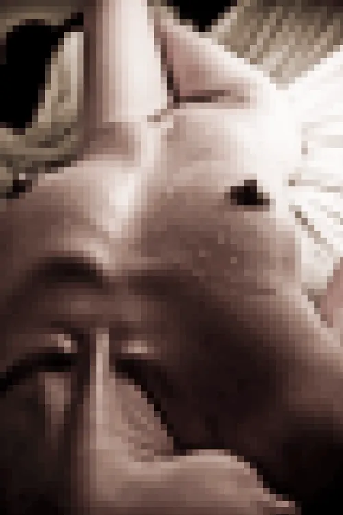 Item #32997355507838235832071597187323206581324723315395957158335053455235852795905 Media