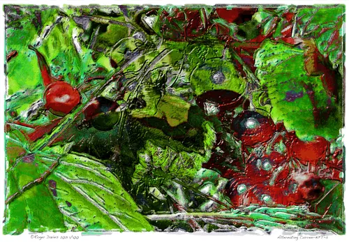 Item #6968899724388266606176016145545160509277227480062482001621938832699711029249 Media