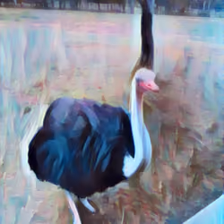 Ostrich