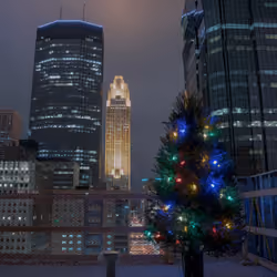 City Lights