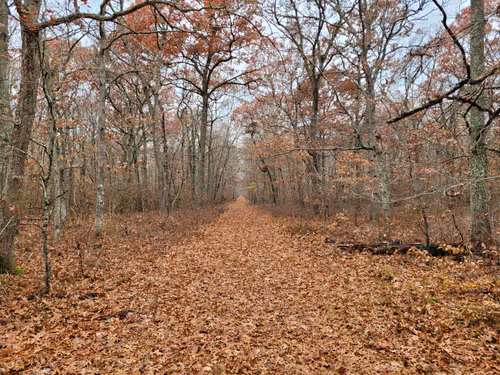 Item #34085441569699423005310991372941828806155687762378495952169943190079243550721 Media