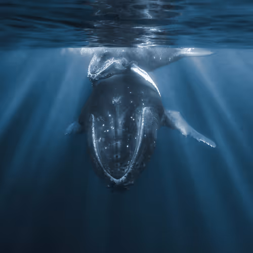 Mother's Day Edition