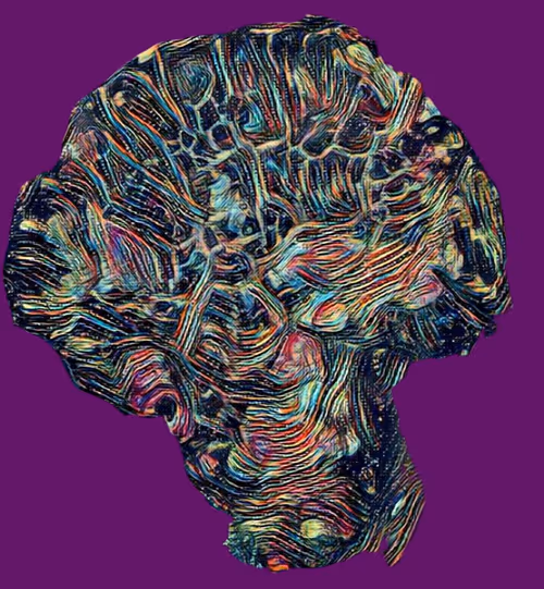 Item #80050559332347163335601971796963442430023304175303914027877321109879434248193 Media