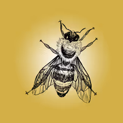 79067907305230177002014129353343413869651970885450883453575323023058803884033