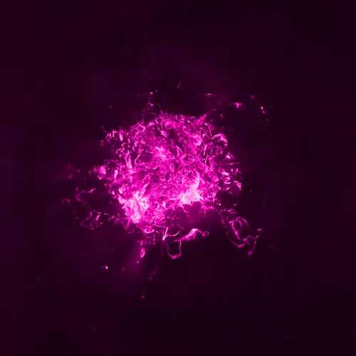 Item #28252881351676997068647992630968638413296009839210037111965645861506007433217 Media