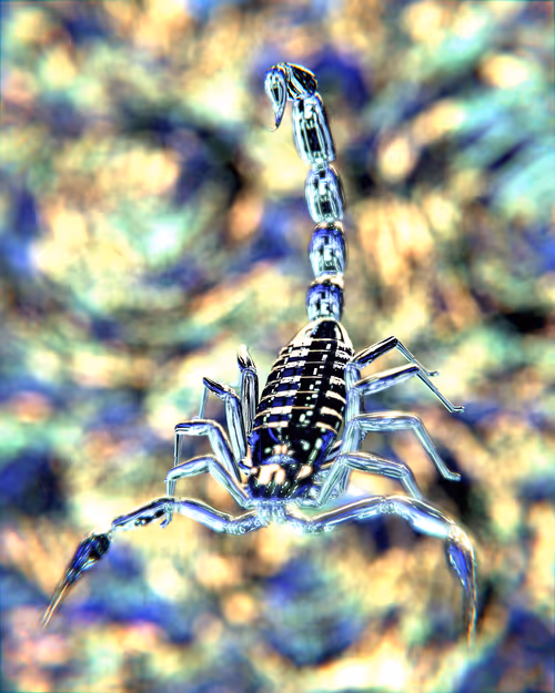 Item #13271752099044419815462386675604520261379464630597090896497105333556277673985 Media