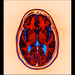 64162533542198579898252916190583583845604629893829087458582976522047715278849