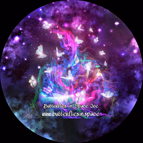 ButterfliesInSpaceJoe Collection