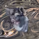 53180631642456764738139299674940583640479914081960747744151189776171750391809